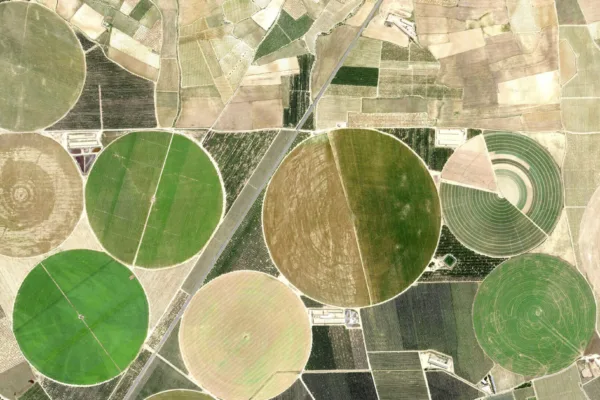 Can trials involving allegations of dishonesty be held remotely?