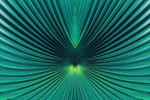 Justice delayed might be justice denied… but for which side? A look at Nigeria v Process & Industrial Developments