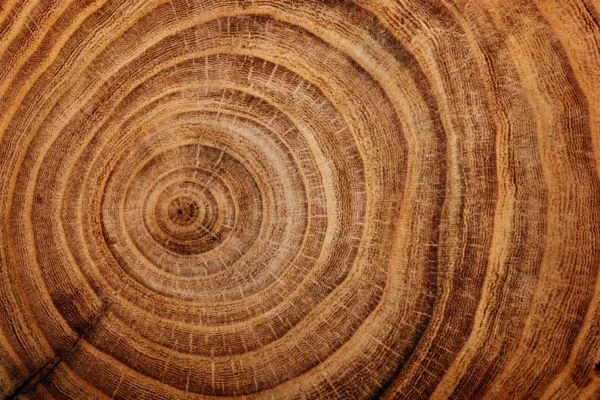 Special Dispensations: coronavirus puts informal wills back on the agenda