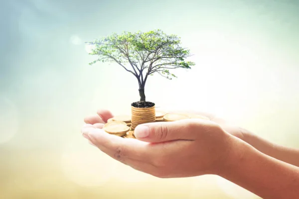 Predatory Marriage – The Great Inheritance Scam?