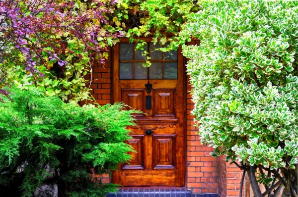 Renting Homes (Wales) Act 2016 – reflections one year on from its commencement
