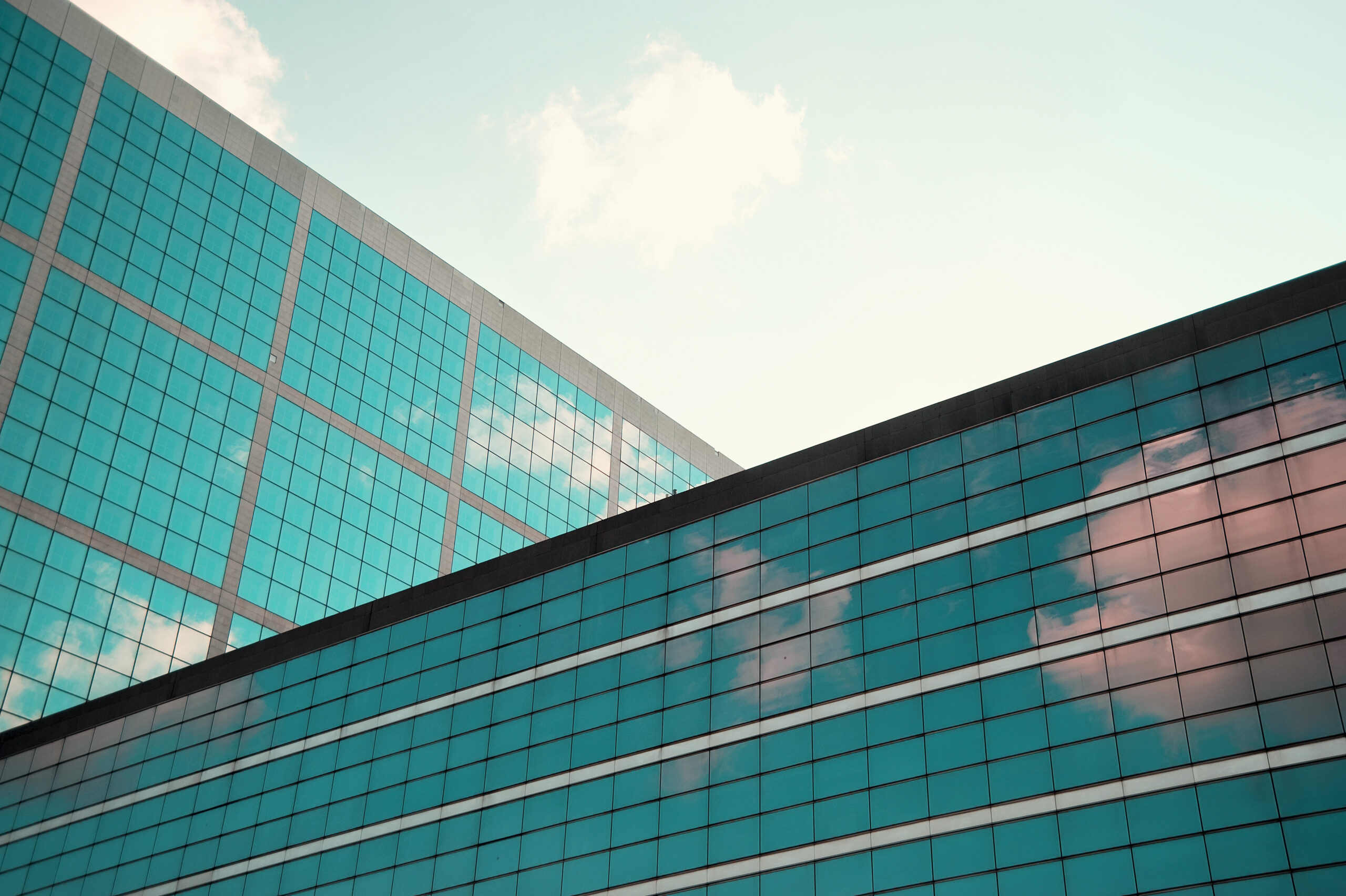 Expert evidence and fine margins in boundary disputes Goodmans Autos