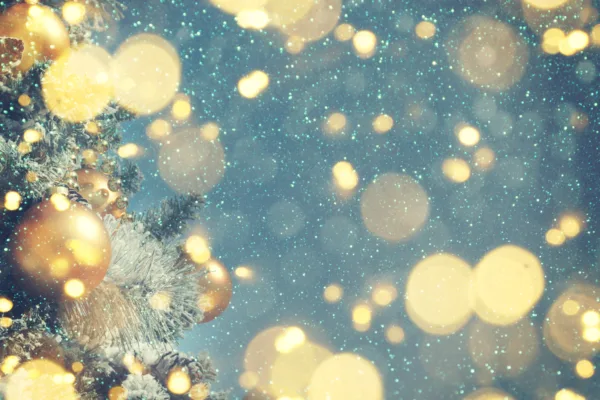 Property Newsletter: December 2023