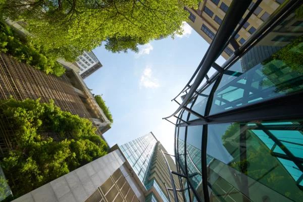 Property Newsletter: February 2024
