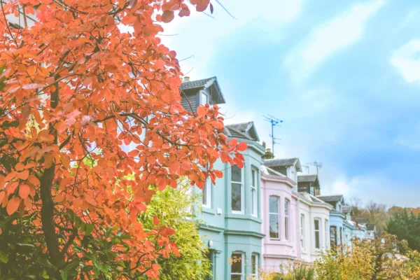 Property Newsletter: November 2024