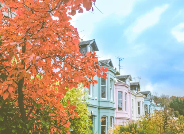 Property Newsletter: November 2024