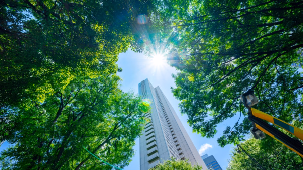 Property Newsletter: Spring 2025