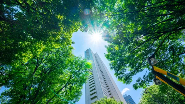 Property Newsletter: Spring 2025
