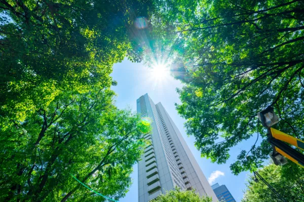 Property Newsletter: Spring 2025