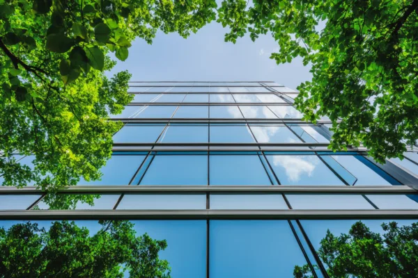 Property Newsletter: July 2025