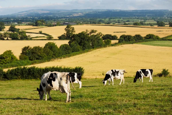 Charlotte John acts for successful claimant in Ellis v Ellis & Ors