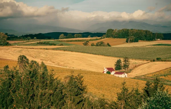 Equity’s Escape Hatch – can Proprietary Estoppel outflank s2 LP(MP)A 1989?