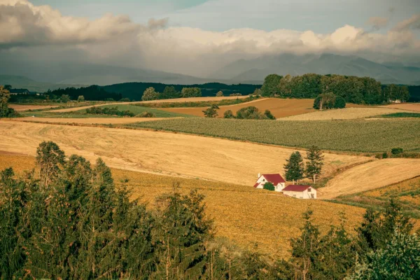 Equity’s Escape Hatch – can Proprietary Estoppel outflank s2 LP(MP)A 1989?