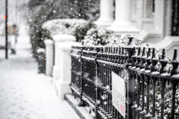 Property Newsletter: Winter 2025