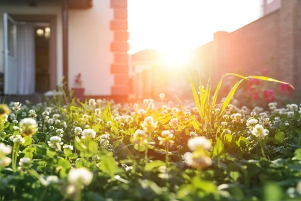 Property Newsletter: Spring Edition