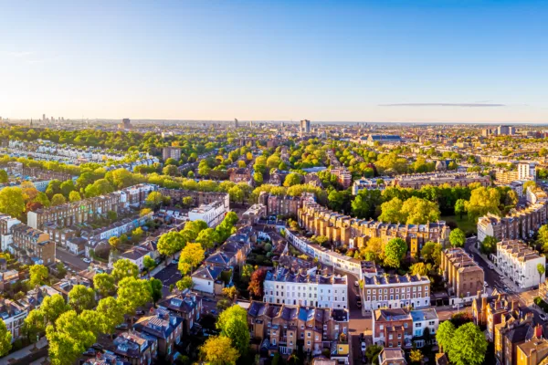 Property Newsletter: Summer Edition